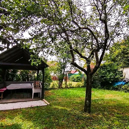 Haus Am In Vonyarc Case de vacanță *